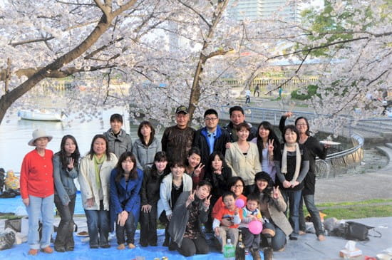第51回「文化から学ぶ韓国語」～美しい桜の中でお花見～05